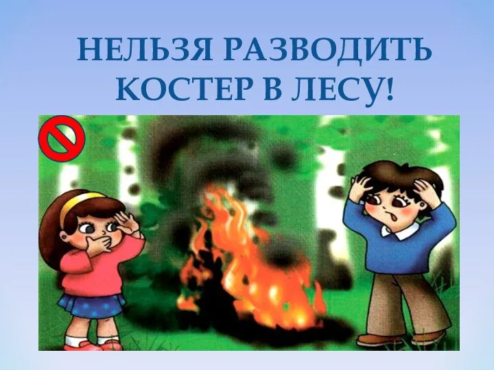 НЕЛЬЗЯ РАЗВОДИТЬ КОСТЕР В ЛЕСУ!