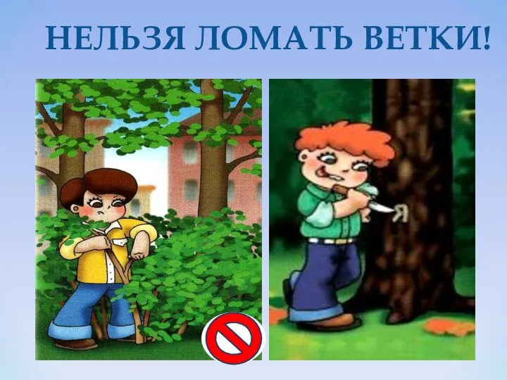 НЕЛЬЗЯ ЛОМАТЬ ВЕТКИ!