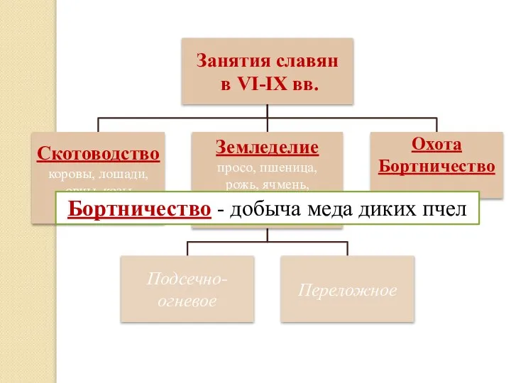 Бортничество - добыча меда диких пчел