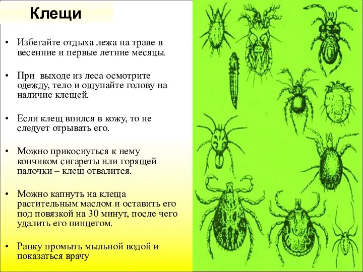 Клещи Избегайте отдыха лежа на траве в весенние и первые летние