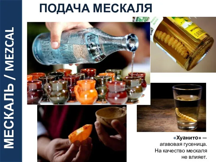 МЕСКАЛЬ / MEZCAL ПОДАЧА МЕСКАЛЯ «Хуанито» — агавовая гусеница. На качество мескаля не влияет.