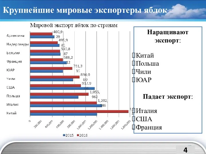 Крупнейшие мировые экспортеры яблок Наращивают экспорт: Китай Польша Чили ЮАР Падает экспорт: Италия США Франция