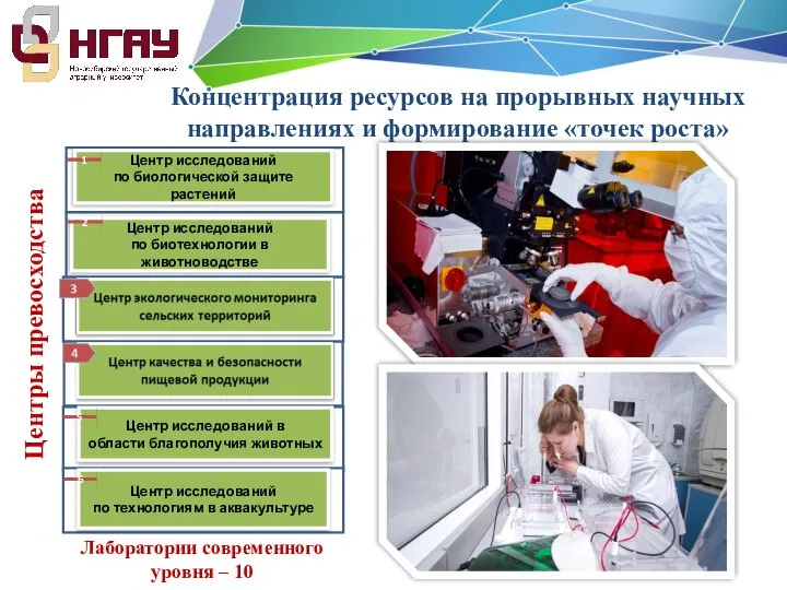 Концентрация ресурсов на прорывных научных направлениях и формирование «точек роста» Лаборатории