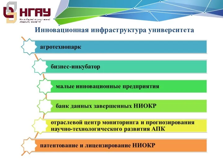 Инновационная инфраструктура университета