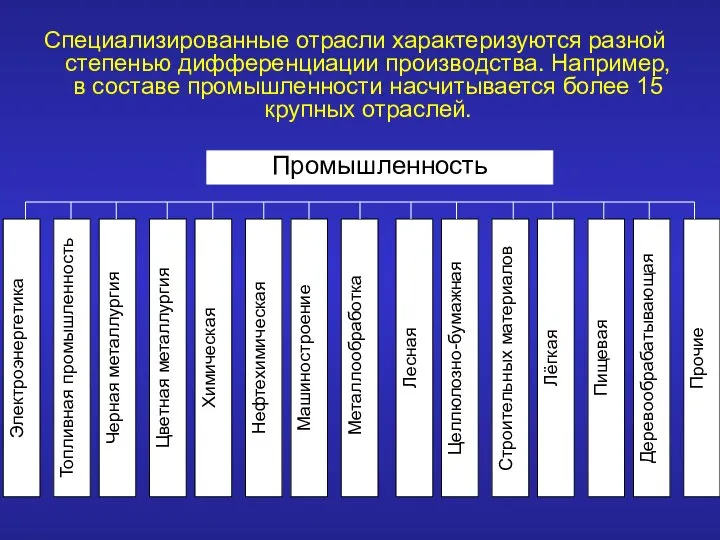 Специализированные отрасли характеризуются разной степенью дифференциации производства. Например, в составе промышленности