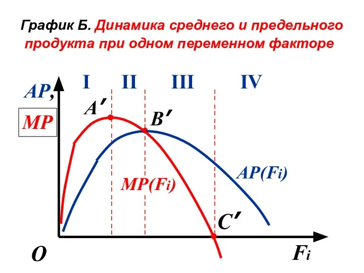 График Б. Динамика среднего и предельного продукта при одном переменном факторе