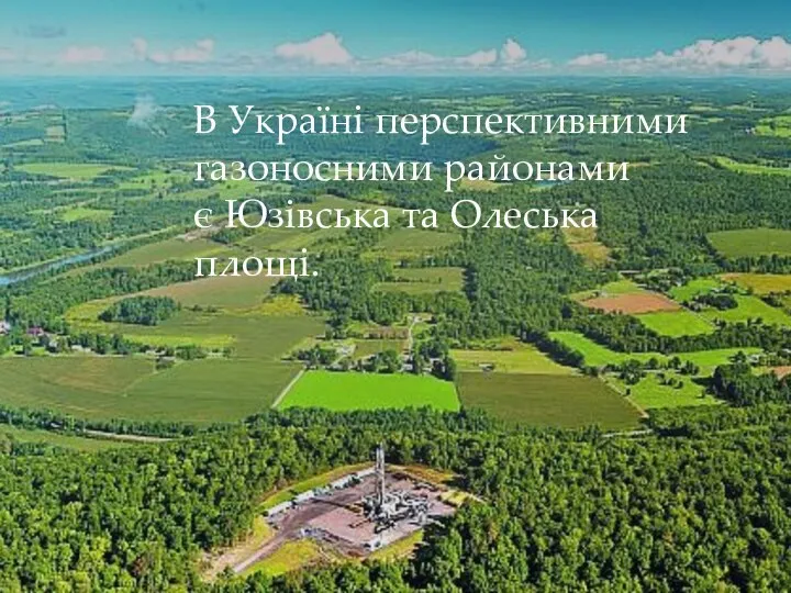 В Україні перспективними газоносними районами є Юзівська та Олеська площі.