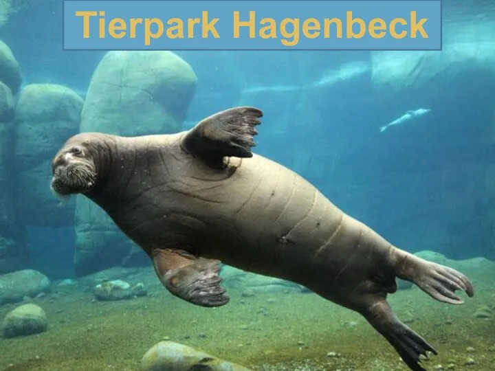 Tierpark Hagenbeck