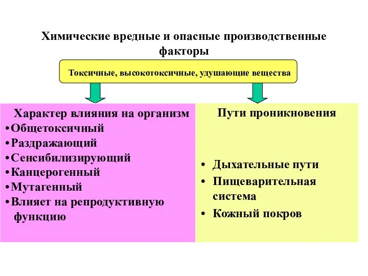 Химические вредные и опасные производственные факторы Пути проникновения Дыхательные пути Пищеварительная