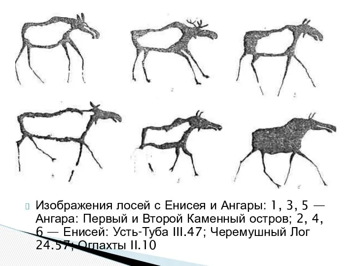 Изображения лосей с Енисея и Ангары: 1, 3, 5 — Ангара: