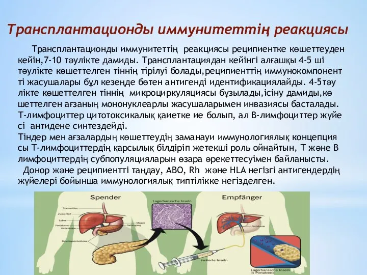 Трансплантационды иммунитеттің реакциясы Трансплантационды иммунитеттің реакциясы реципиентке көшеттеуден кейін,7-10 тәулікте дамиды.