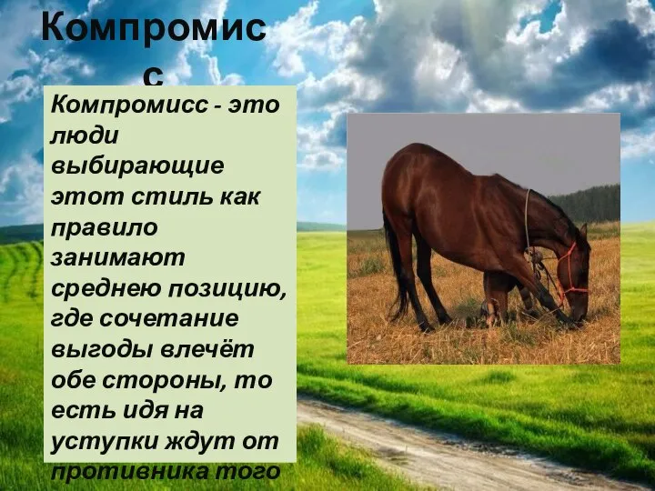 Компромисс Компромисс - это люди выбирающие этот стиль как правило занимают