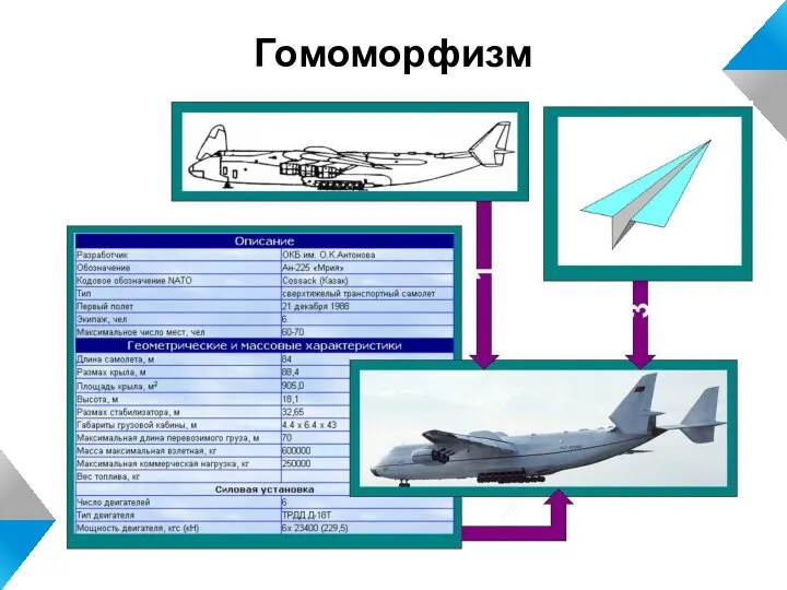 Гомоморфизм