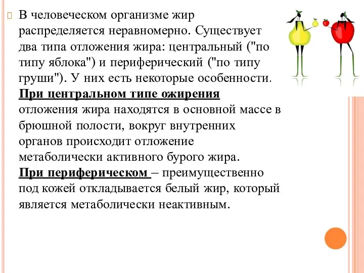 В человеческом организме жир распределяется неравномерно. Существует два типа отложения жира: