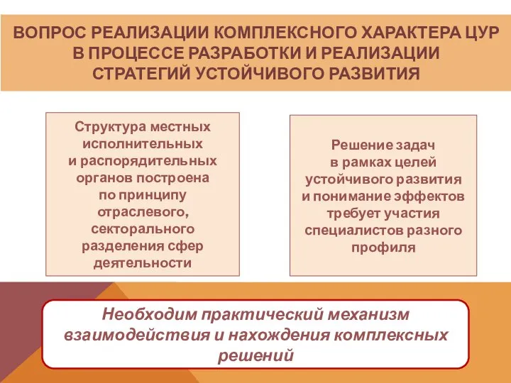 ВОПРОС РЕАЛИЗАЦИИ КОМПЛЕКСНОГО ХАРАКТЕРА ЦУР В ПРОЦЕССЕ РАЗРАБОТКИ И РЕАЛИЗАЦИИ СТРАТЕГИЙ