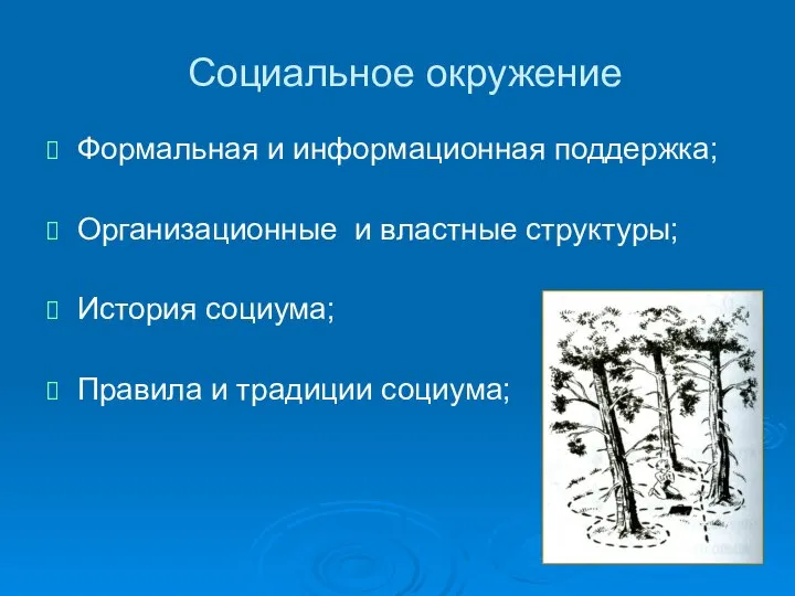 Социальное окружение Формальная и информационная поддержка; Организационные и властные структуры; История социума; Правила и традиции социума;