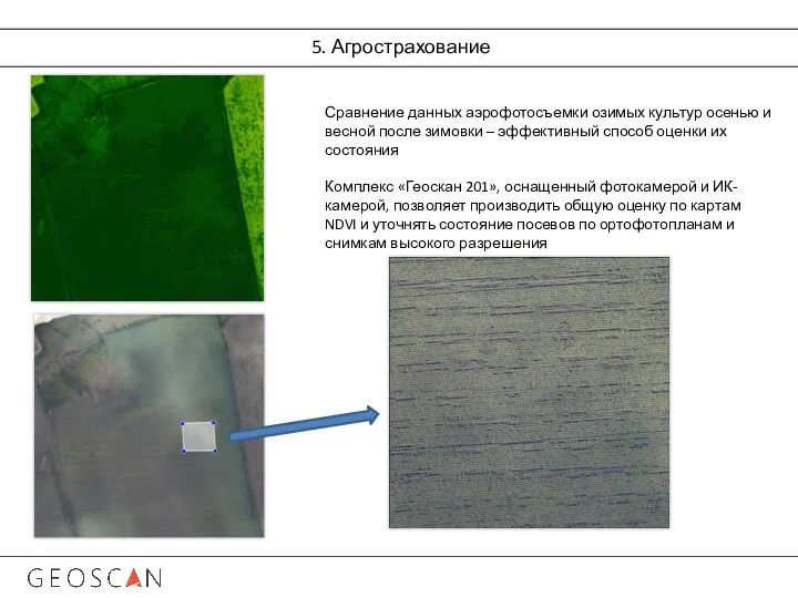 5. Агрострахование Сравнение данных аэрофотосъемки озимых культур осенью и весной после