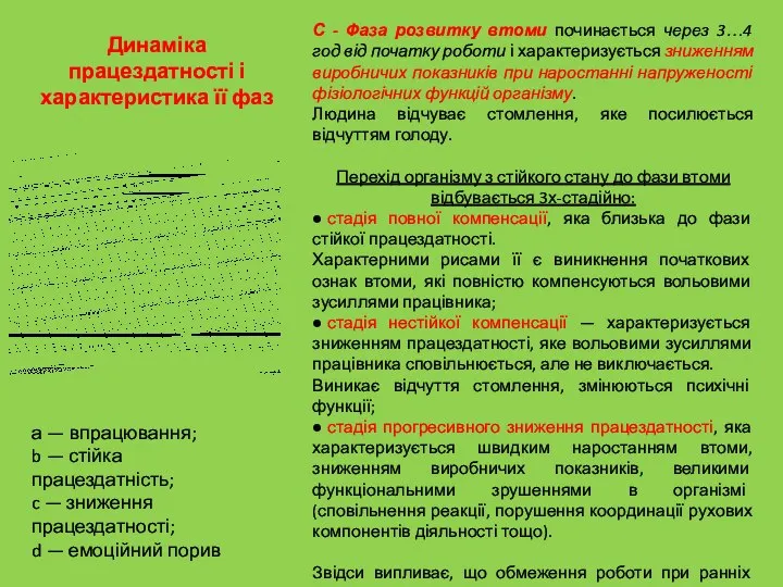 Динаміка працездатності і характеристика її фаз а — впрацювання; b —