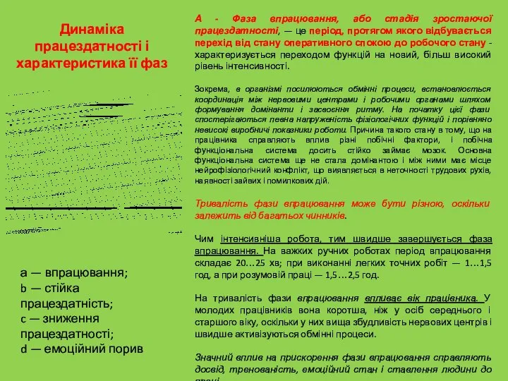 Динаміка працездатності і характеристика її фаз А - Фаза впрацювання, або