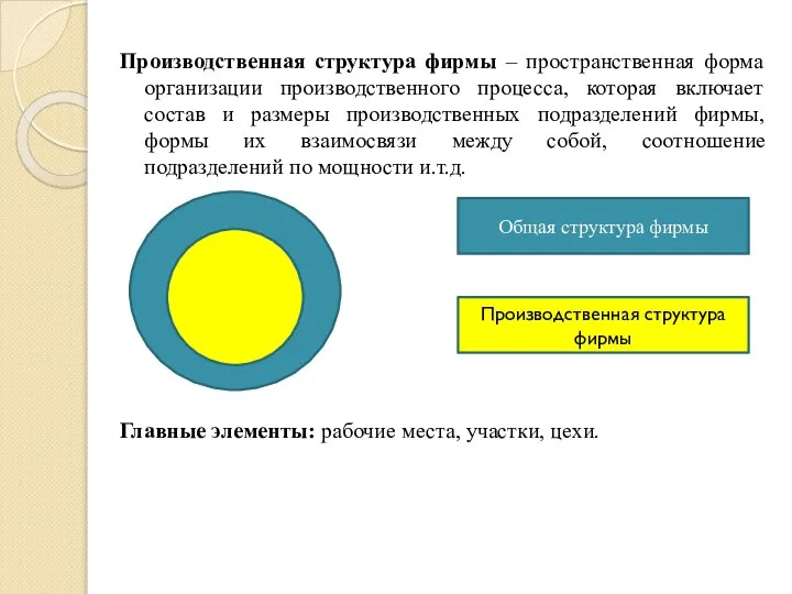 Производственная структура фирмы – пространственная форма организации производственного процесса, которая включает