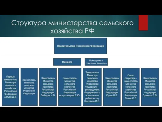 Структура министерства сельского хозяйства РФ