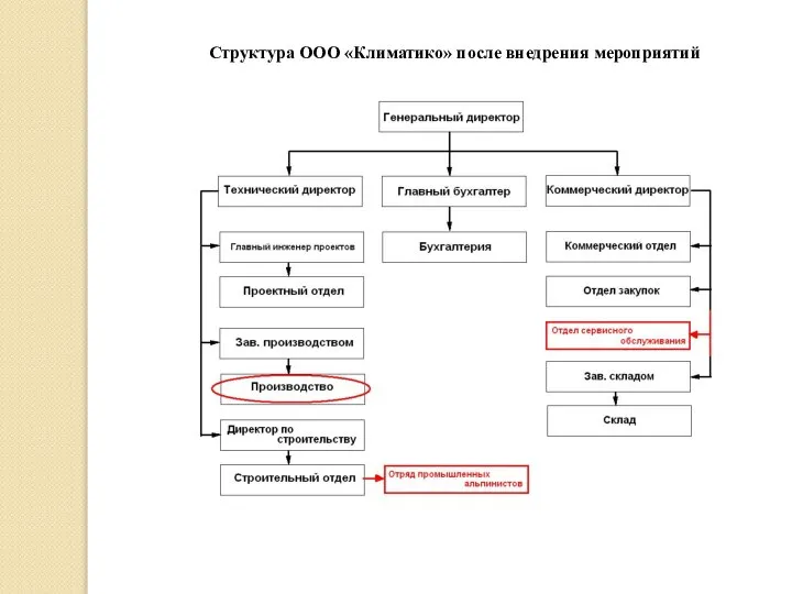 Структура ООО «Климатико» после внедрения мероприятий