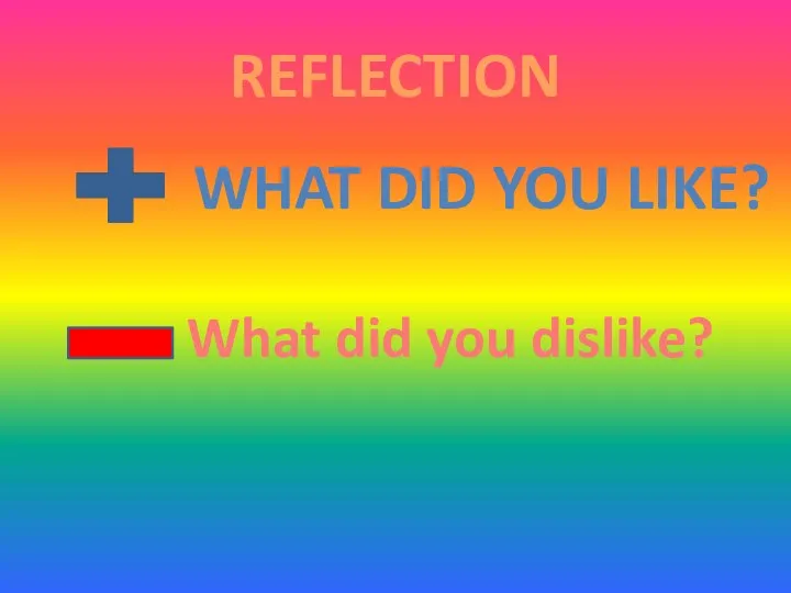 REFLECTION WHAT DID YOU LIKE? What did you dislike?