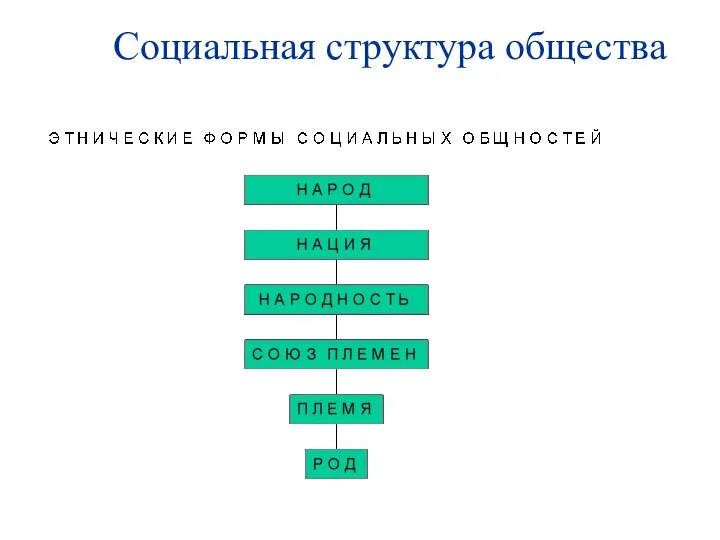 Социальная структура общества