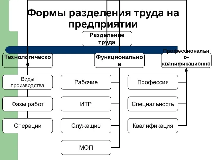 Формы разделения труда на предприятии