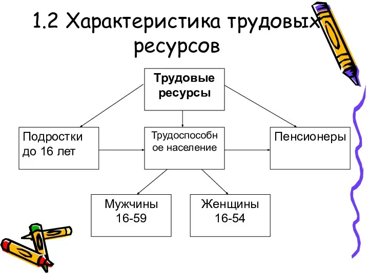 1.2 Характеристика трудовых ресурсов