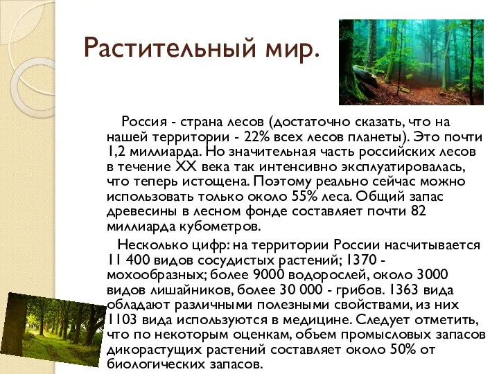 Растительный мир. Россия - страна лесов (достаточно сказать, что на нашей