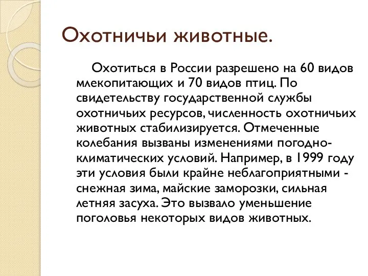 Охотничьи животные. Охотиться в России разрешено на 60 видов млекопитающих и