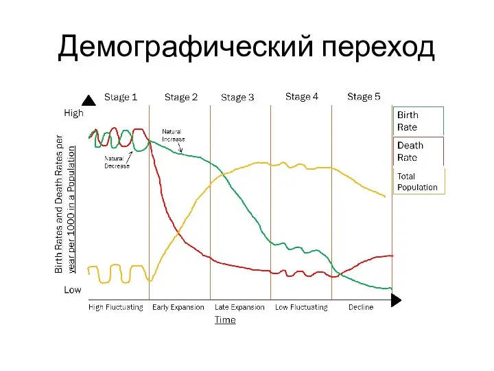 Демографический переход