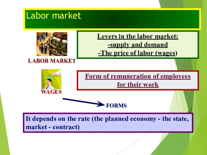Labor market LABOR MARKET Levers in the labor market: -supply and