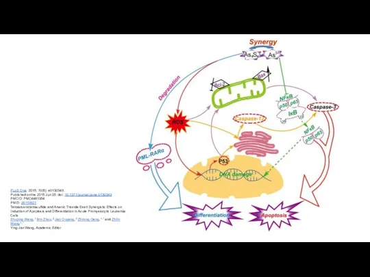 PLoS One. 2015; 10(6): e0130343. Published online 2015 Jun 25. doi: