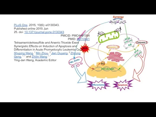 PLoS One. 2015; 10(6): e0130343. Published online 2015 Jun 25. doi: