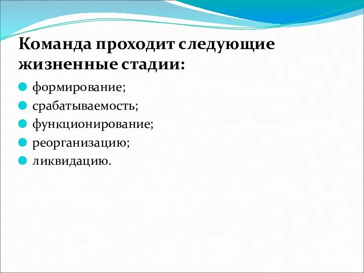 Команда проходит следующие жизненные стадии: формирование; срабатываемость; функционирование; реорганизацию; ликвидацию.