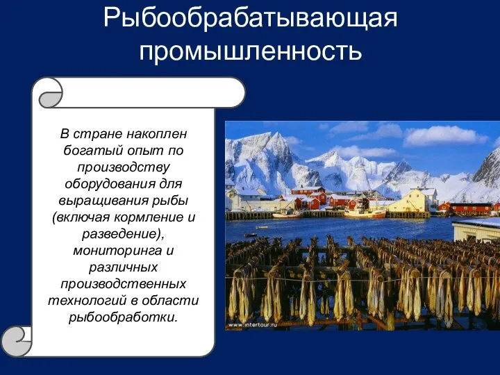 Рыбообрабатывающая промышленность В стране накоплен богатый опыт по производству оборудования для