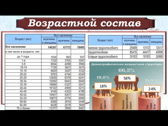 Возрастной состав 58% 18% 24%