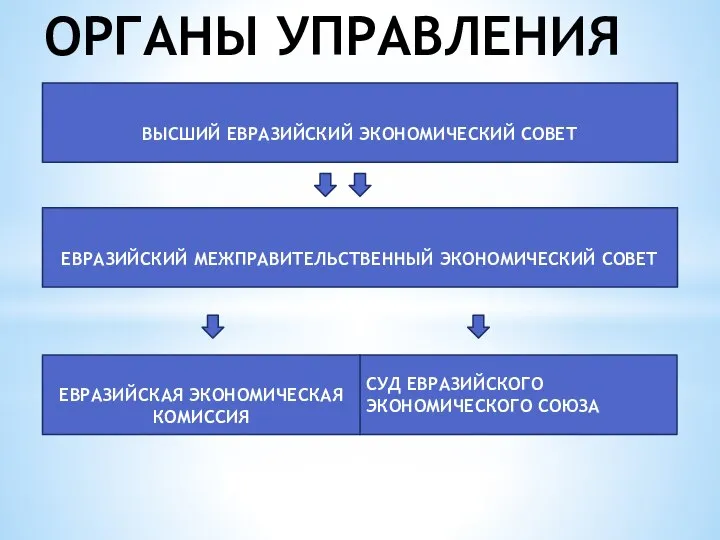 ОРГАНЫ УПРАВЛЕНИЯ ВЫСШИЙ ЕВРАЗИЙСКИЙ ЭКОНОМИЧЕСКИЙ СОВЕТ ЕВРАЗИЙСКИЙ МЕЖПРАВИТЕЛЬСТВЕННЫЙ ЭКОНОМИЧЕСКИЙ СОВЕТ СУД