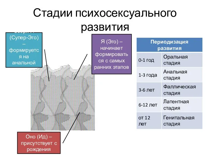 Стадии психосексуального развития Сверх-Я (Супер-Эго) – формируется на анальной стадии Я