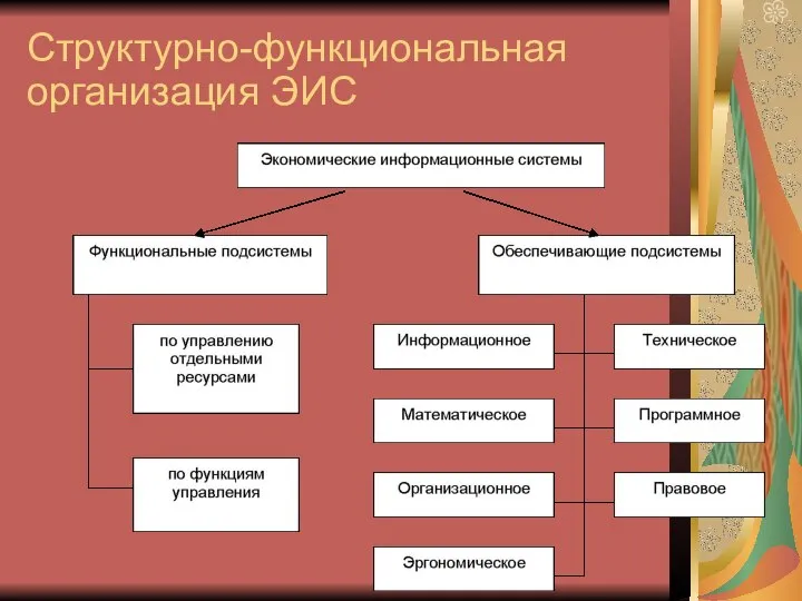 Структурно-функциональная организация ЭИС