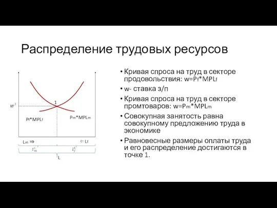 Распределение трудовых ресурсов Кривая спроса на труд в секторе продовольствия: w=Pf*MPLf