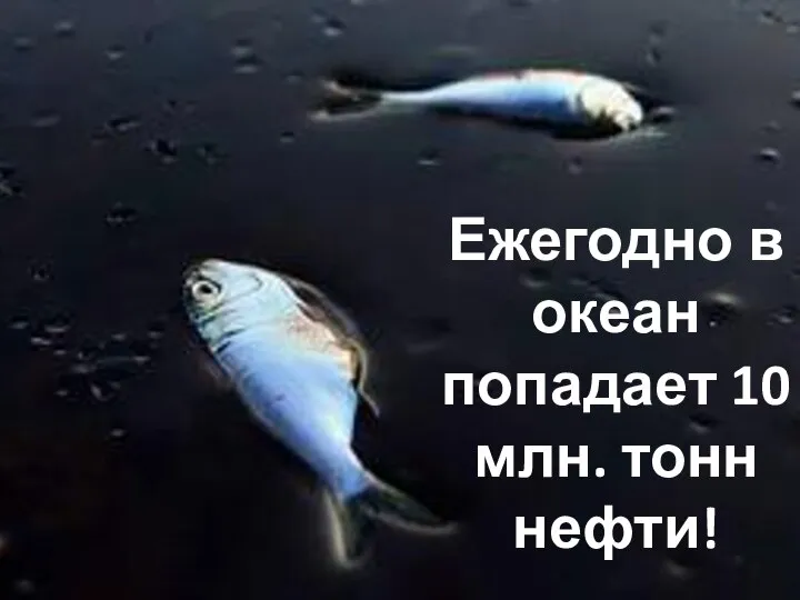 Ежегодно в океан попадает 10 млн. тонн нефти!