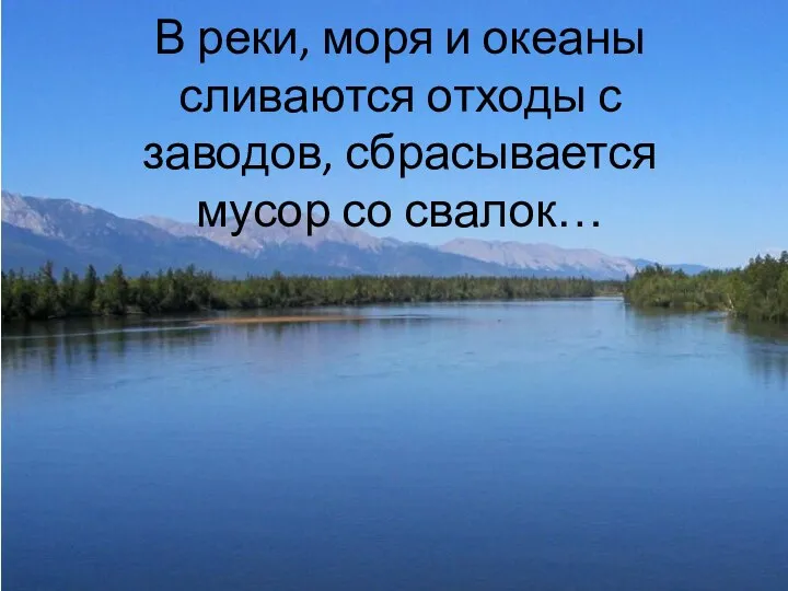 В реки, моря и океаны сливаются отходы с заводов, сбрасывается мусор со свалок…