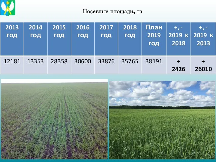 Посевные площади, га