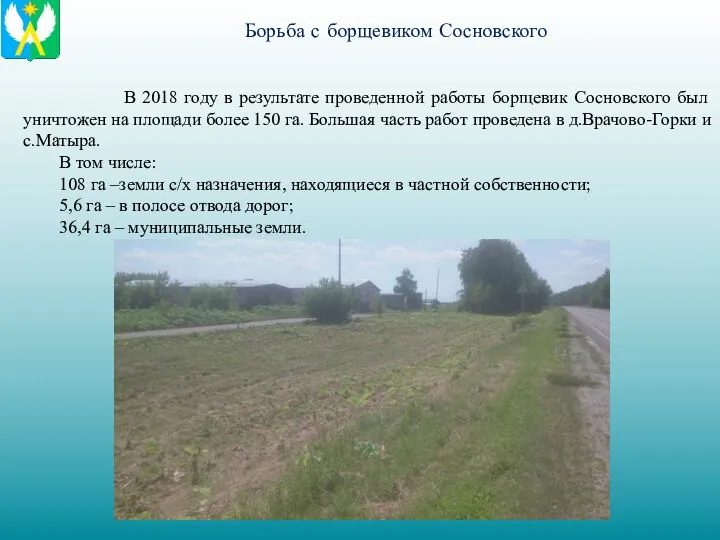 Борьба с борщевиком Сосновского В 2018 году в результате проведенной работы