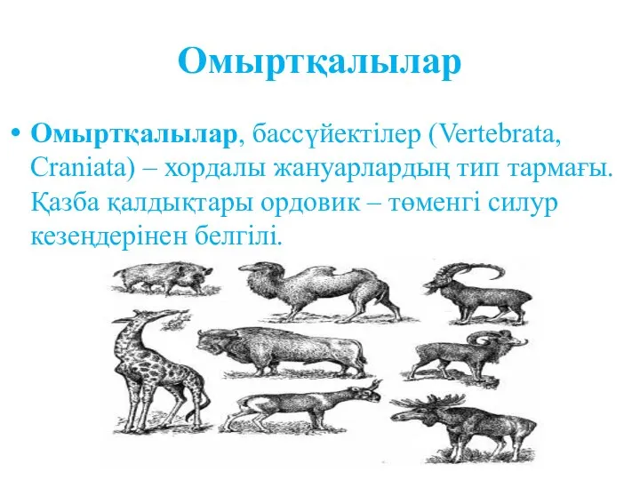 Омыртқалылар Омыртқалылар, бассүйектілер (Vertebrata, Cranіata) – хордалы жануарлардың тип тармағы. Қазба