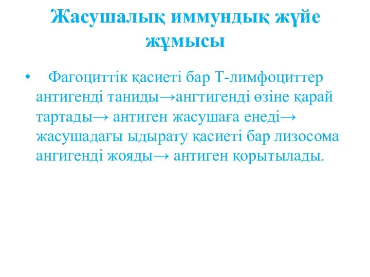 Жасушалық иммундық жүйе жұмысы Фагоциттік қасиеті бар Т-лимфоциттер антигенді таниды→ангтигенді өзіне