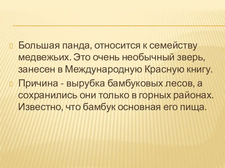 Большая панда, относится к семейству медвежьих. Это очень необычный зверь, занесен